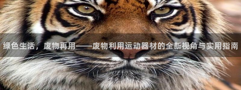 凯捷体育联系电话：绿色生活，废物再用——废物利用运动