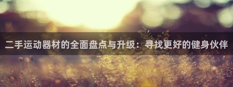 凯捷体育娱乐首页官网下载：二手运动器材的全面盘点与升级：寻找