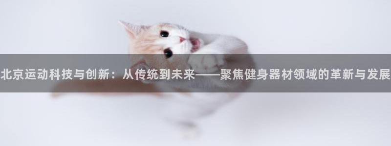 凯捷体育平台：北京运动科技与创新：从传统到未来——聚