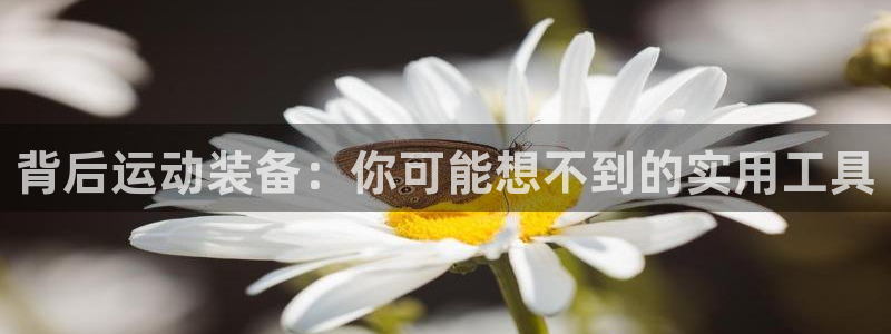 凯捷体育娱乐下载：背后运动装备：你可能想不到的实用工具