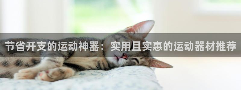 德国凯捷体育集团：节省开支的运动神器：实用且实惠的运