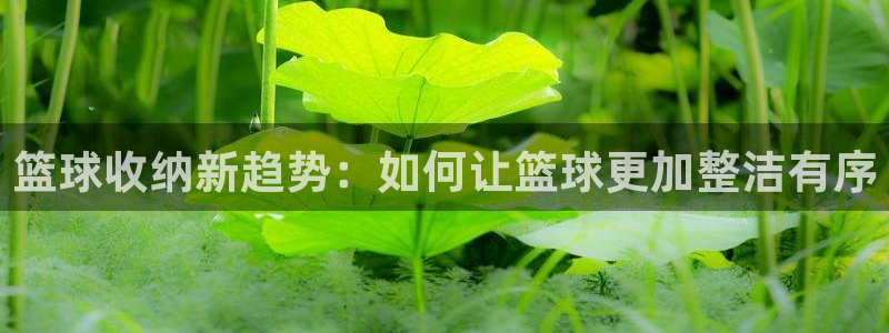 凯捷体育平台注册流程视频：篮球收纳新趋势：如何让篮球