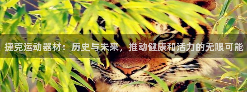 凯捷体育娱乐首页官网下载：捷克运动器材：历史与未来，