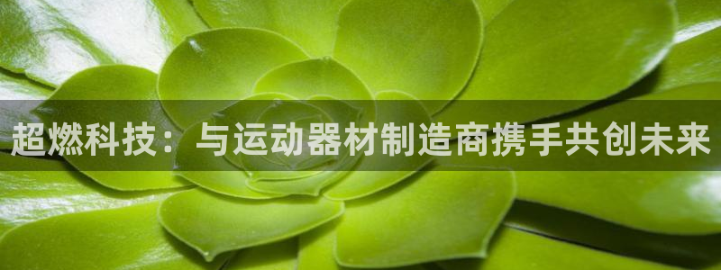 凯捷体育科技：超燃科技：与运动器材制造商携手共创未来