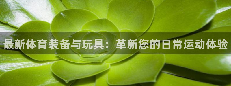 凯捷体育招商电话地址是多少：最新体育装备与玩具：革新