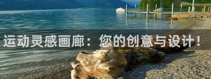 凯捷体育软件：运动灵感画廊：您的创意与设计！