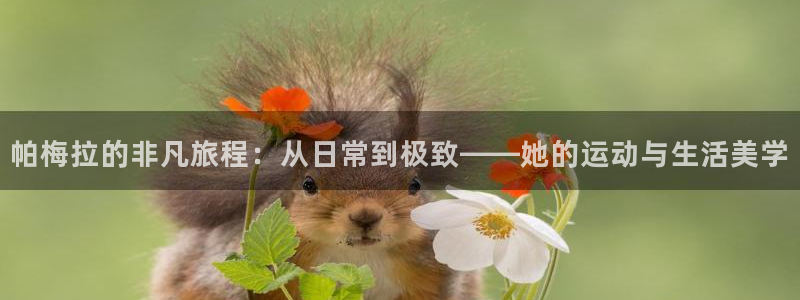 凯捷体育注册：帕梅拉的非凡旅程：从日常到极致——她的
