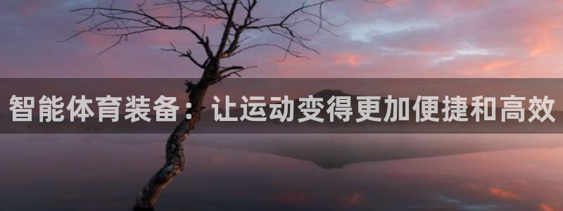 凯捷体育招商电话地址：智能体育装备：让运动变得更加便