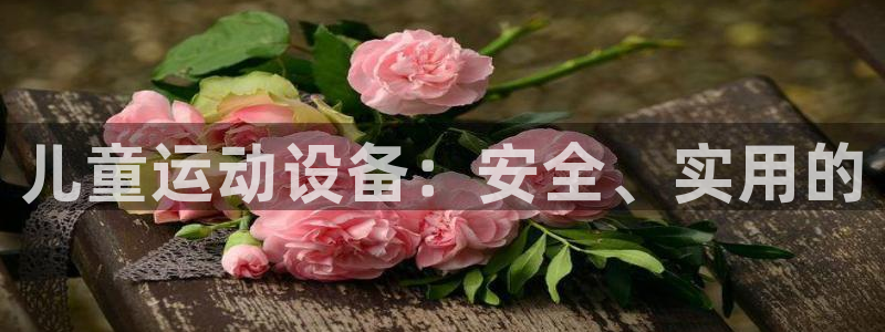 凯捷体育五金厂：儿童运动设备：安全、实用的