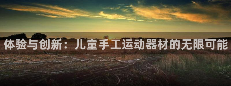 注册凯捷体育：体验与创新：儿童手工运动器材的无限可能