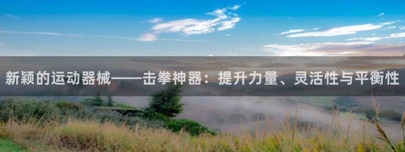凯捷体育官方客服电话：新颖的运动器械——击拳神器：提升力量、
