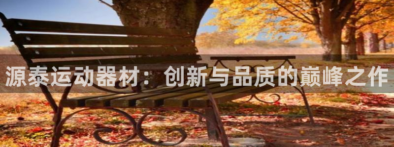凯捷体育代理：源泰运动器材：创新与品质的巅峰之作
