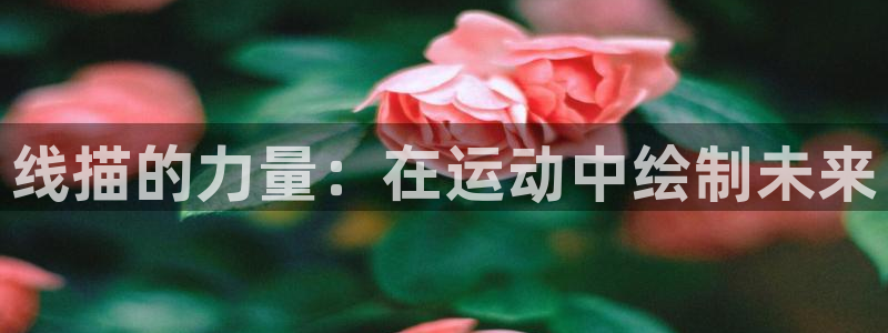 凯捷体育平台假的吗是真的吗吗：线描的力量：在运动中绘制未来