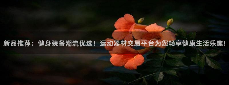 凯捷体育平台注册要钱吗：新品推荐：健身装备潮流优选！