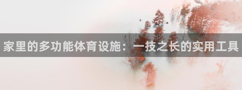 凯捷体育软件：家里的多功能体育设施：一技之长的实用工