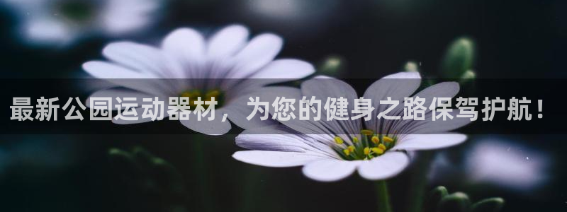 海南凯捷体育：最新公园运动器材，为您的健身之路保驾护