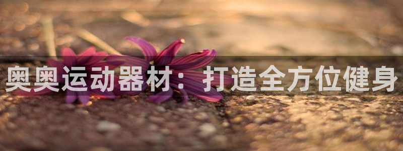 凯捷体育招商电话号码是多少啊：奥奥运动器材：打造全方位健身
