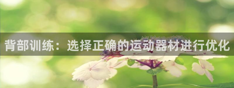 凯捷体育招商电话是多少啊：背部训练：选择正确的运动器材进行优