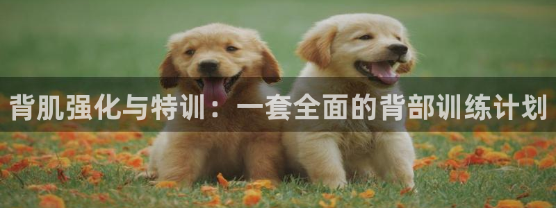 凯捷体育集团：背肌强化与特训：一套全面的背部训练计划