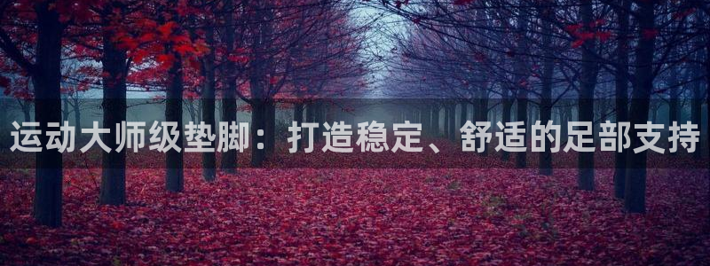 凯捷体育娱乐网站：运动大师级垫脚：打造稳定、舒适的足部支持