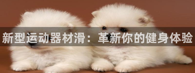 凯捷体育集团简介：新型运动器材滑：革新你的健身体验
