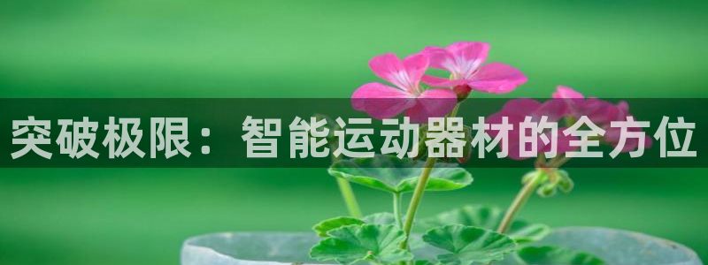 凯捷体育集团E.ON：突破极限：智能运动器材的全方位