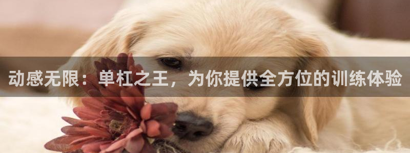 凯捷体育官网