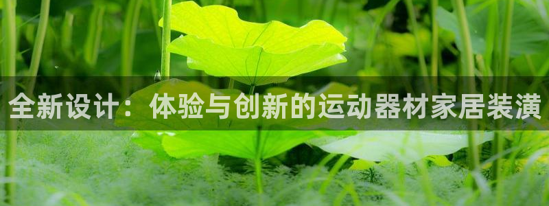 凯捷体育集团logo：全新设计：体验与创新的运动器材家居装潢