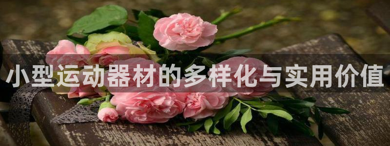 凯捷体育娱乐平台：小型运动器材的多样化与实用价值
