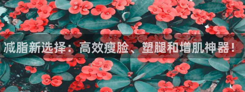 凯捷体育平台注册要钱吗：减脂新选择：高效瘦脸、塑腿和