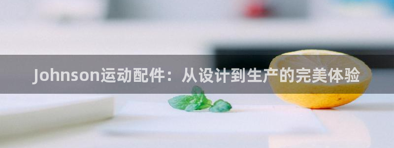 凯捷体育集团：Johnson运动配件：从设计到生产的
