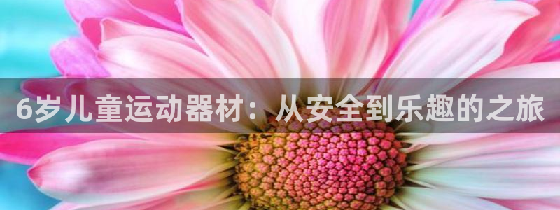凯捷体育科技：6岁儿童运动器材：从安全到乐趣的之旅