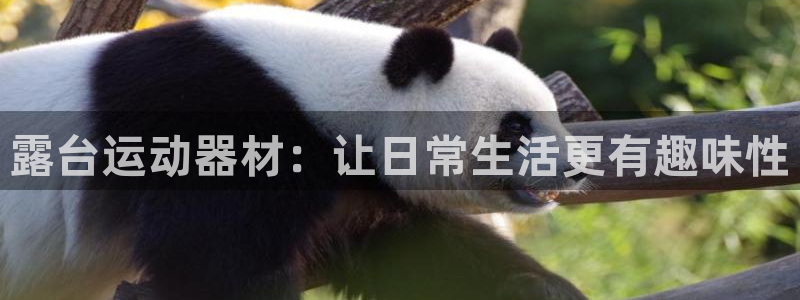 凯捷体育招商：露台运动器材：让日常生活更有趣味性