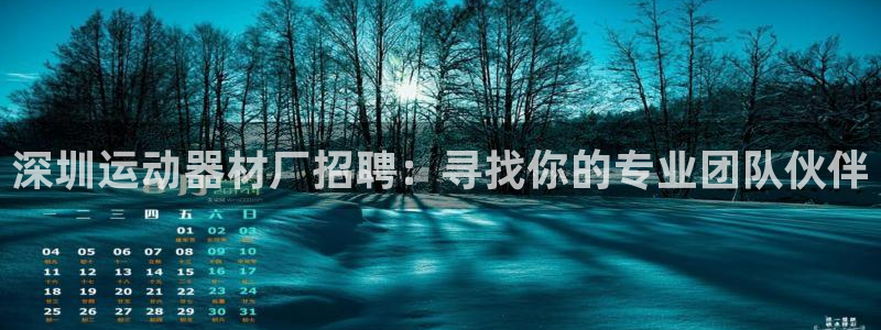 德国凯捷体育集团