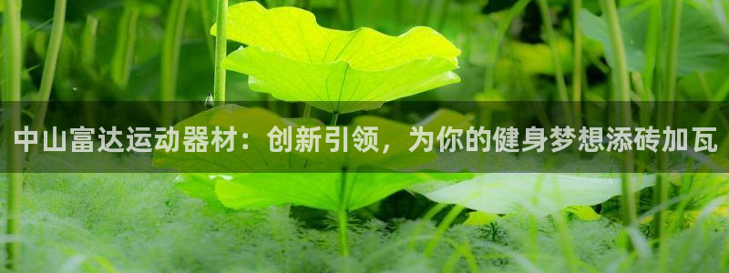 凯捷体育招商电话号码：中山富达运动器材：创新引领，为你的健身