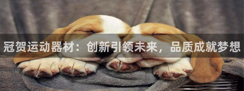 凯捷体育娱乐首页网站大全