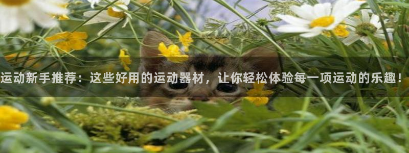 凯捷体育平台注册要钱吗安全吗：运动新手推荐：这些好用