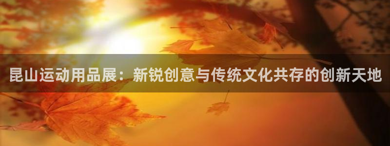 凯捷体育招商电话是多少啊：昆山运动用品展：新锐创意与