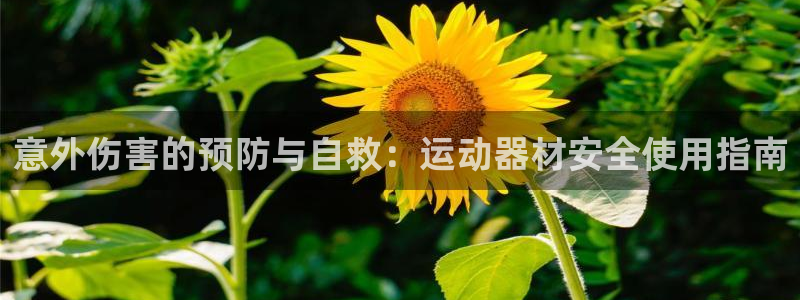 意昂集团官网