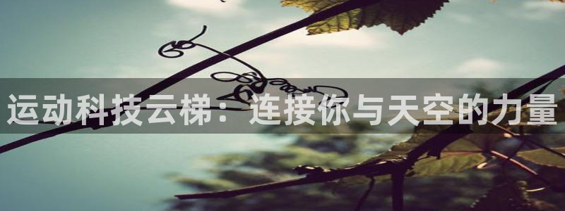 凯捷体育平台假的吗是真的吗：运动科技云梯：连接你与天空的力量