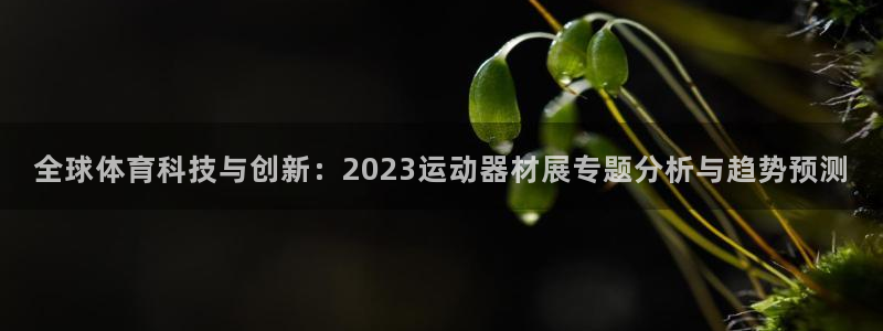 凯捷体育平台是正规平台吗安全吗：全球体育科技与创新：2023