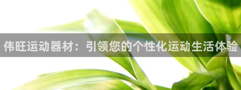 凯捷体育联系电话：伟旺运动器材：引领您的个性化运动生活体验