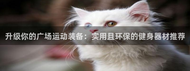 凯捷体育招商电话号码