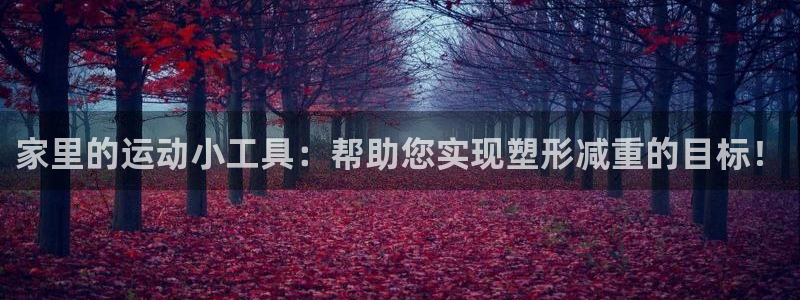 凯捷体育集团logo：家里的运动小工具：帮助您实现塑