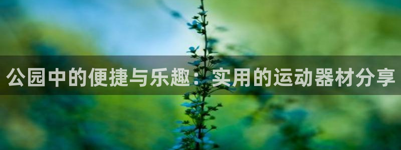 凯捷体育平台注册要钱吗：公园中的便捷与乐趣：实用的运