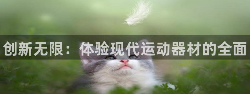 凯捷体育娱乐下载：创新无限：体验现代运动器材的全面