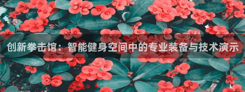 凯捷体育娱乐是那个系列的台子：创新拳击馆：智能健身空
