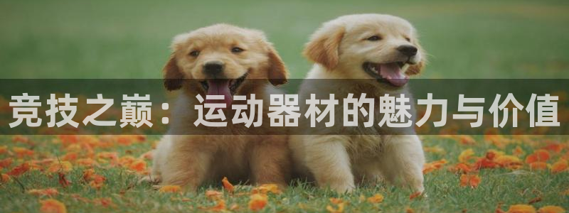 凯捷体育平台APP：竞技之巅：运动器材的魅力与价值