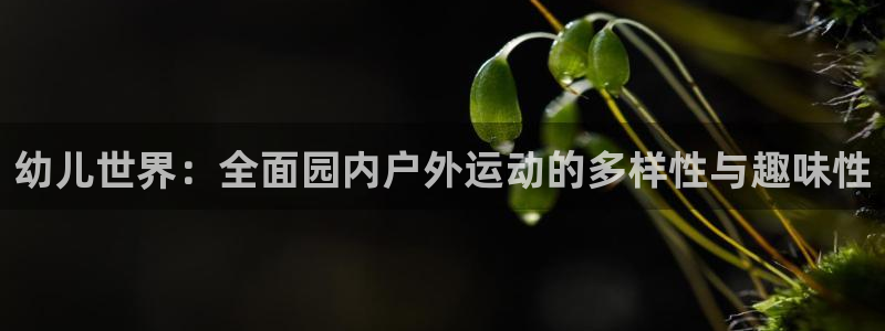 凯捷体育招商电话号码：幼儿世界：全面园内户外运动的多