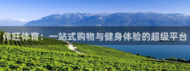 凯捷体育集团官网网址：伟旺体育：一站式购物与健身体验
